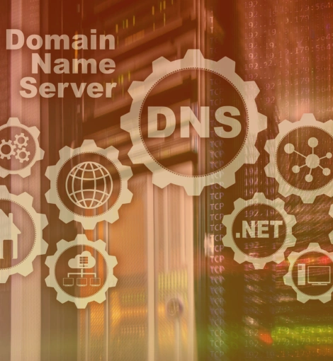 Domain Management